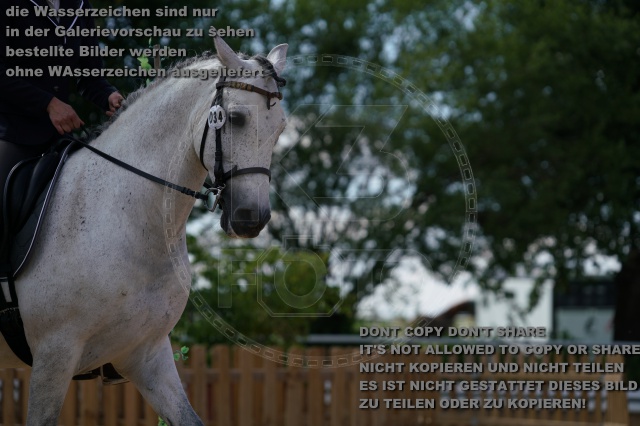 s_K3F04817.JPG